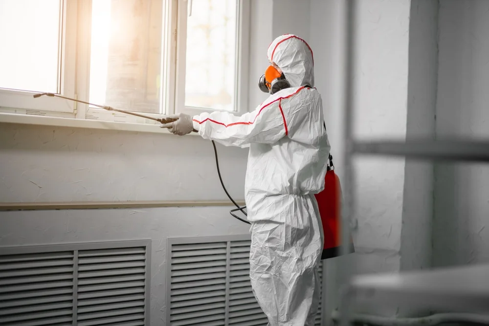 Professional mold remediation services in Moscow, TX